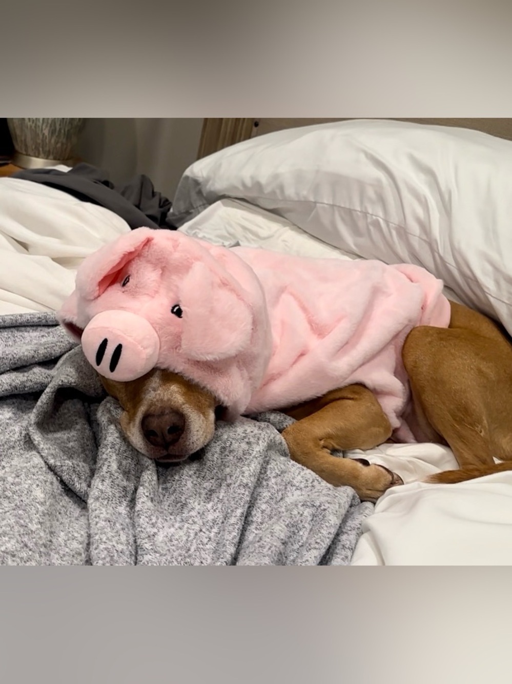 Pink Pig Dog Halloween Costume